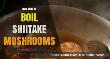 Perfectly Boiled Shiitake Mushrooms: Timing Tips for Optimal Flavor