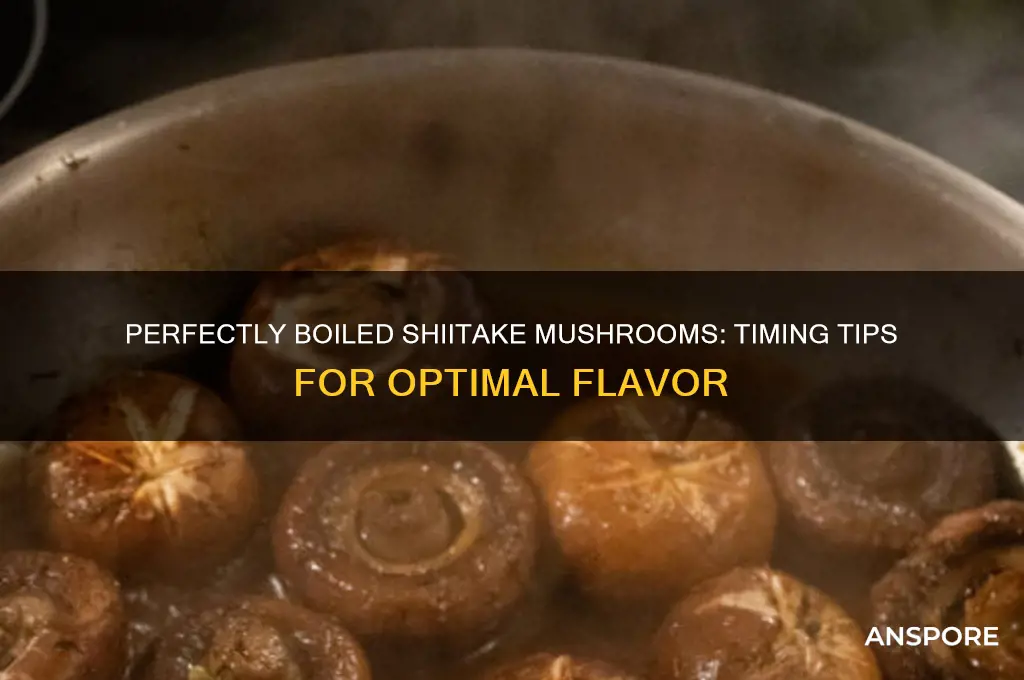 how long to boil shiitake mushrooms