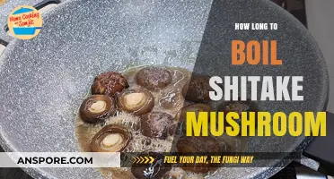 Perfectly Boiled Shiitake Mushrooms: Timing Tips for Optimal Flavor
