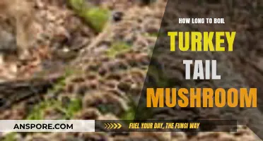 Perfectly Boiled Turkey Tail Mushrooms: Timing Tips for Optimal Results
