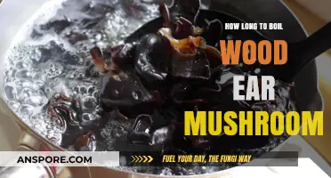 Perfectly Cooking Wood Ear Mushrooms: Optimal Boiling Time Guide
