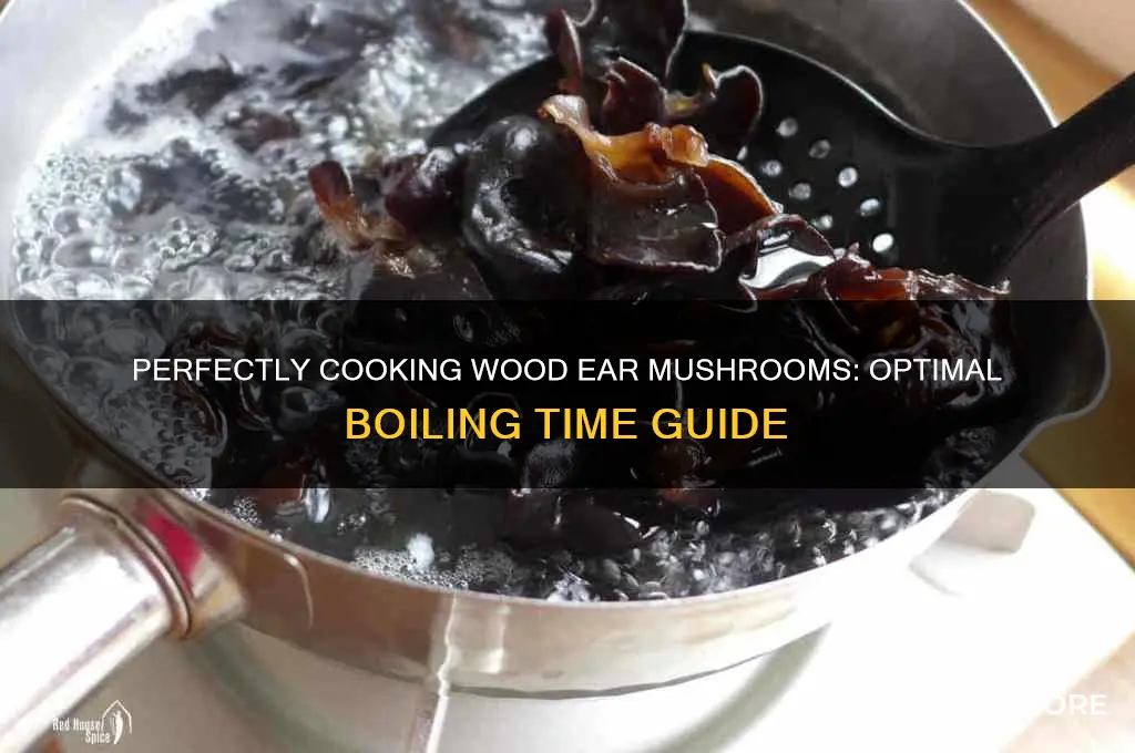 how long to boil wood ear mushrooms