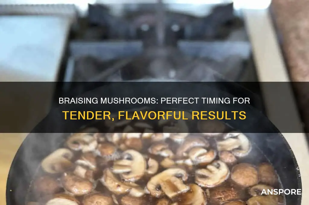 how long to braise mushrooms