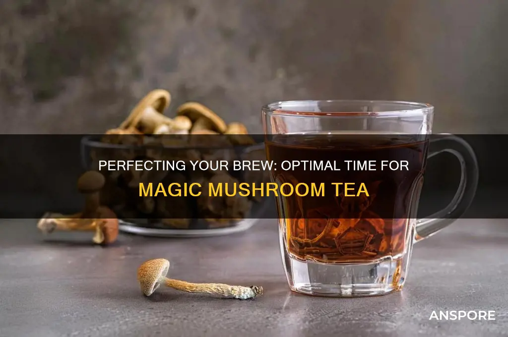 how long to brew magic mushroom tea