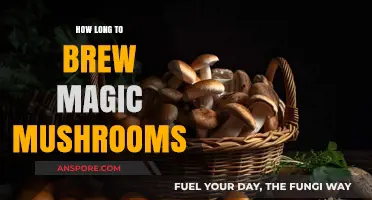 Perfecting Psilocybin Brewing: Optimal Time for Magic Mushroom Preparation