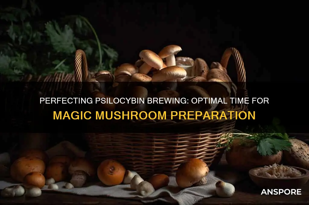 how long to brew magic mushrooms
