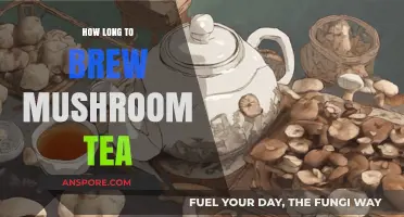 Perfect Mushroom Tea Brewing Time: Tips for Optimal Flavor and Benefits