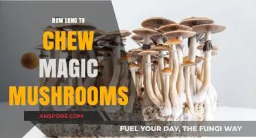 Chewing Magic Mushrooms: Optimal Duration for Safe and Effective Consumption