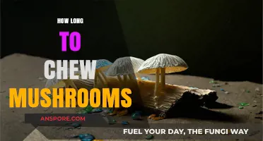 Optimal Mushroom Chewing Time: Enhancing Digestion and Nutrient Absorption