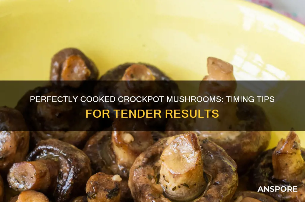 how long to ciok mushrooms in crockpot