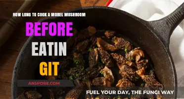 Perfectly Cooked Morel Mushrooms: Timing Tips for Safe, Delicious Results