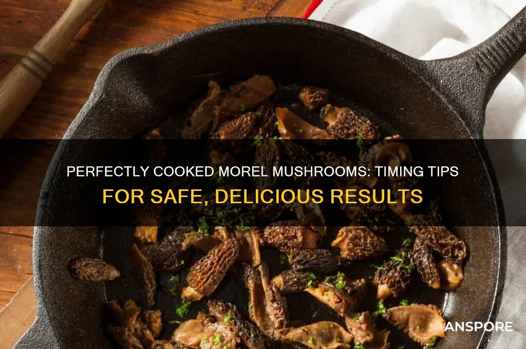 how long to cook a morel mushroom before eatin git