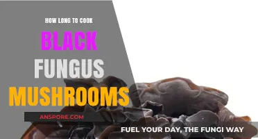 Perfectly Cooked Black Fungus Mushrooms: Timing Tips for Ideal Texture
