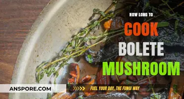 Perfect Bolete Mushrooms: Optimal Cooking Time and Techniques Revealed