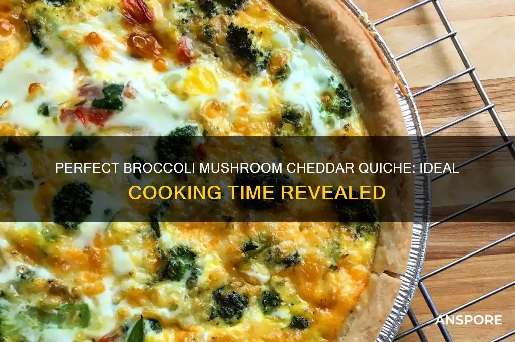 how long to cook broccili mushroom cheddar quiche