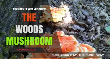 Perfectly Cooking Chicken of the Woods Mushroom: Timing Tips & Tricks