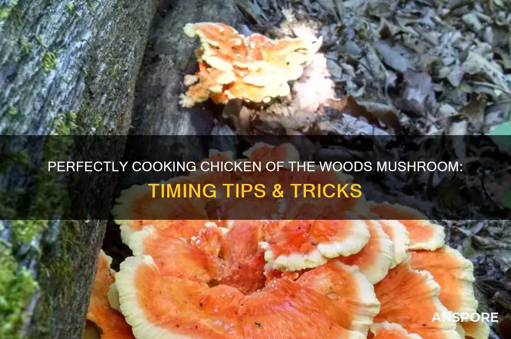how long to cook chicken of the woods mushroom