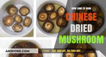 Perfectly Rehydrating Chinese Dried Mushrooms: Optimal Cooking Time Guide