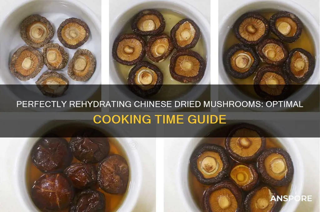 how long to cook chinese dried mushrooms