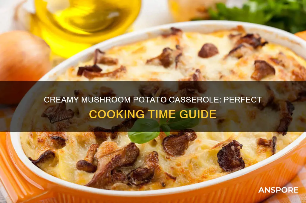 how long to cook cream of mushroom potato casserole