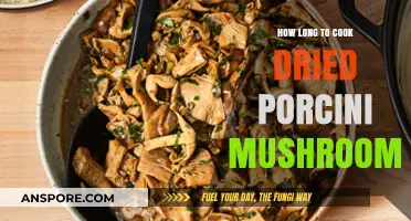 Perfectly Cooking Dried Porcini Mushrooms: Timing Tips for Rich Flavor