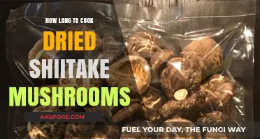 Perfectly Cooked Dried Shiitake Mushrooms: Timing and Techniques Revealed