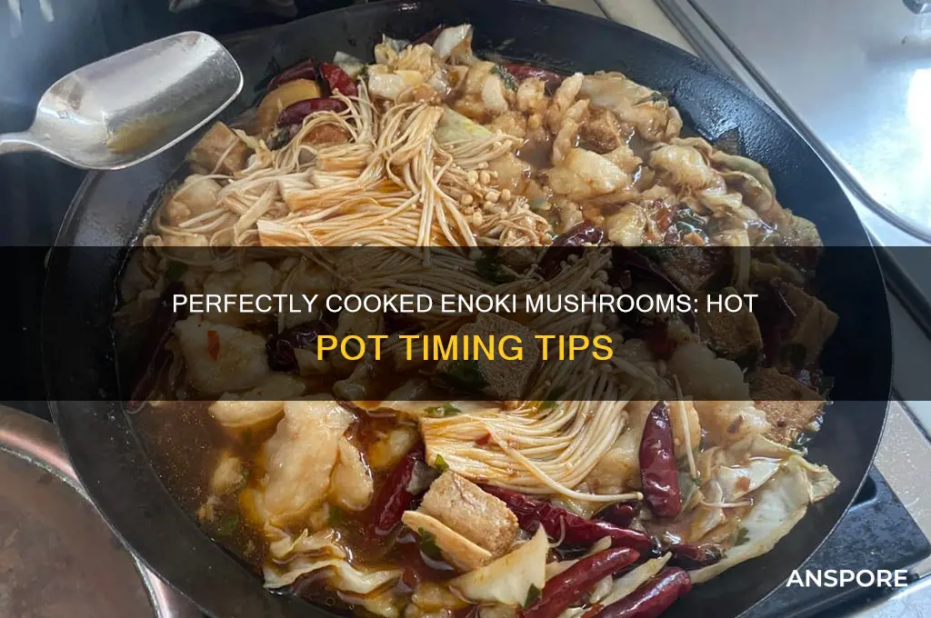 how long to cook enoki mushrooms in hot pot