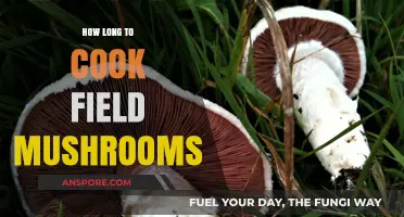 Perfectly Cooked Field Mushrooms: Timing Tips for Delicious Results