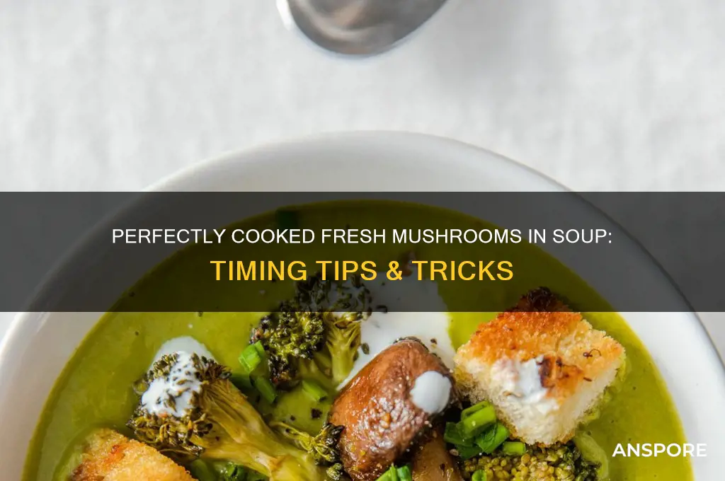 how long to cook fresh mushrooms in soup