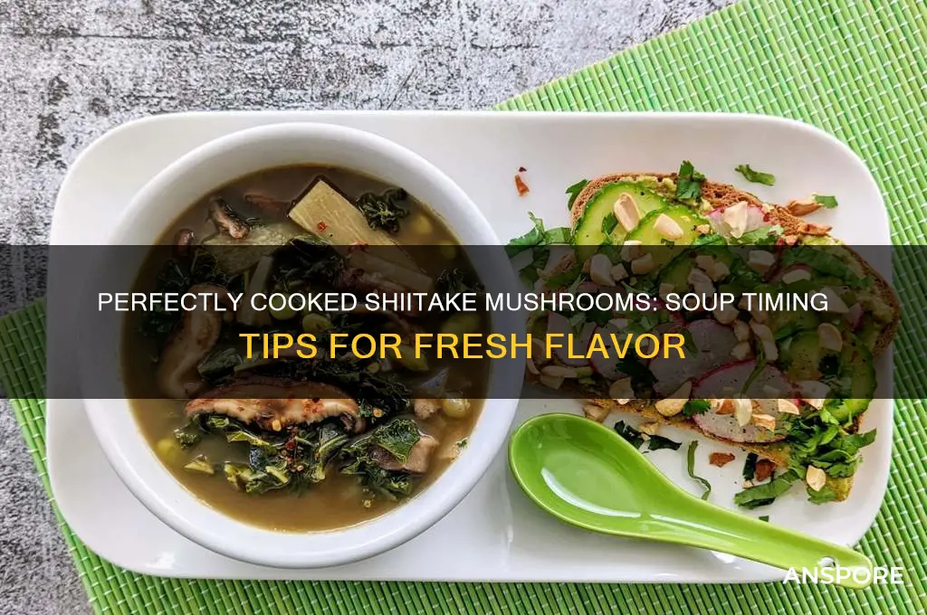 how long to cook fresh shiitake mushrooms in soup