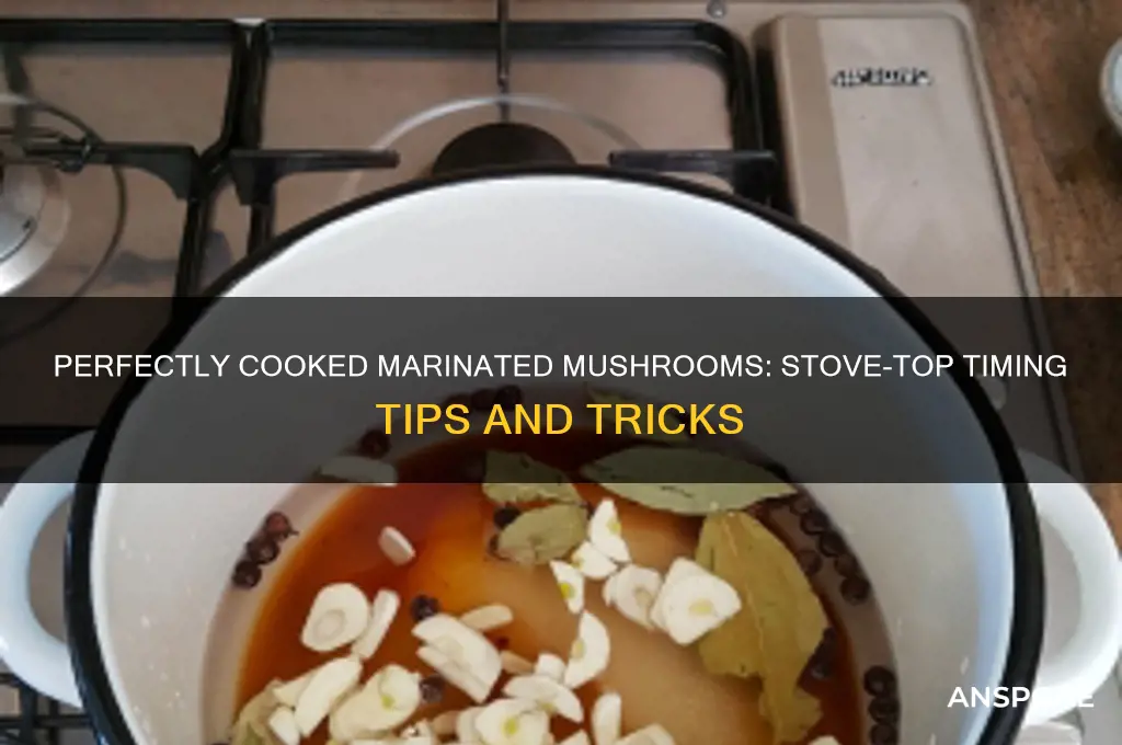 how long to cook marinated mushrooms on stove