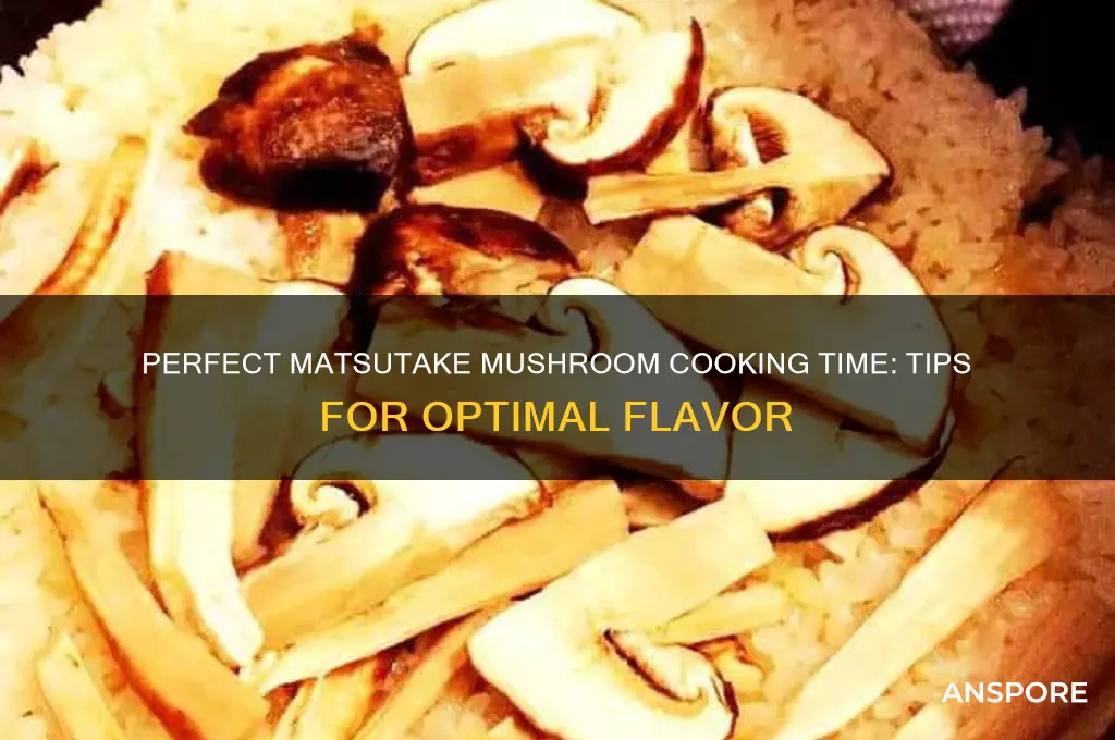 how long to cook matsutake mushroom