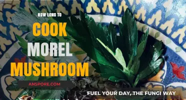 Perfectly Cooked Morel Mushrooms: Timing Tips for Delicious Results
