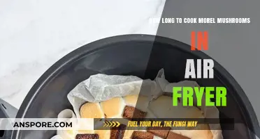 Perfect Air Fryer Morel Mushrooms: Quick Cooking Time Guide
