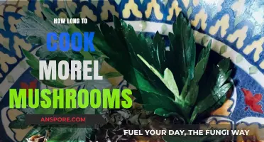 Perfectly Cooked Morel Mushrooms: Timing Tips for Delicious Results