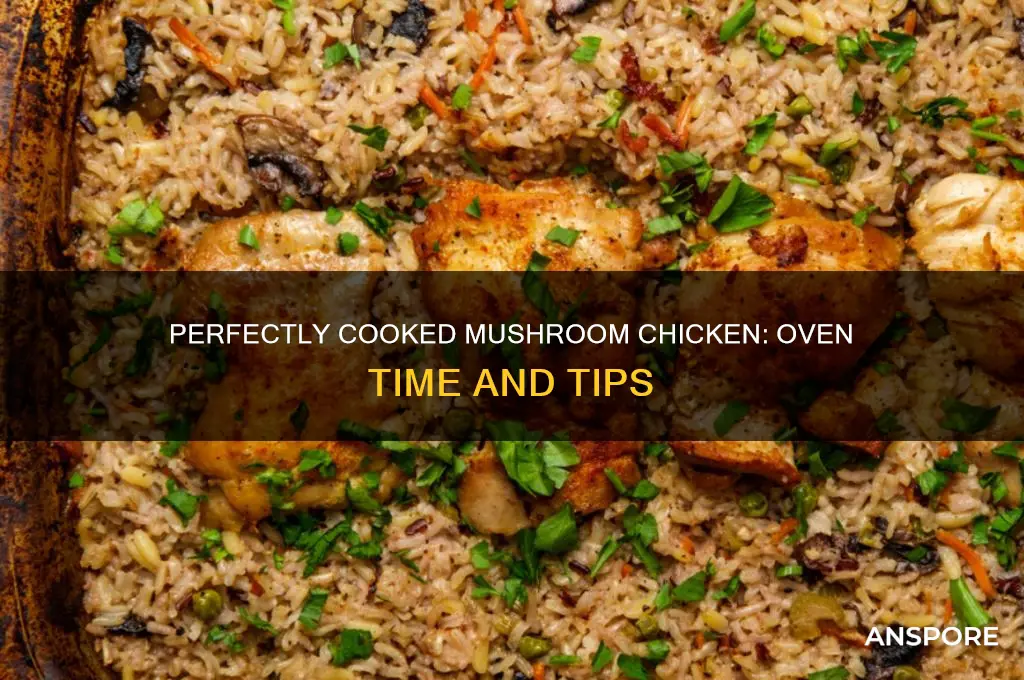 how long to cook mushroom chicken in oven