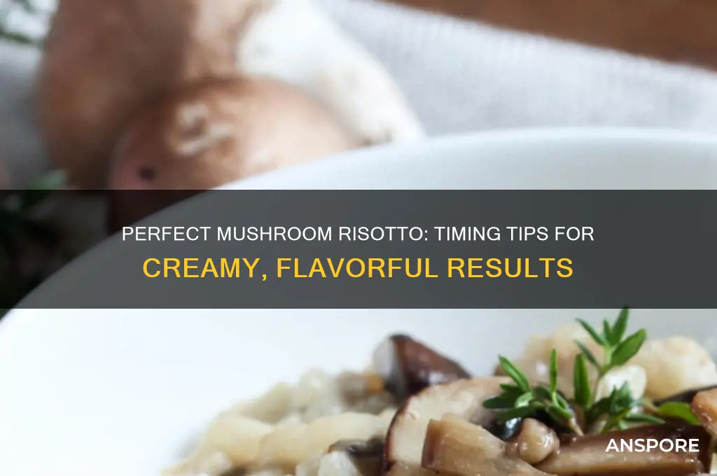 how long to cook mushroom risotto
