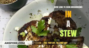 Perfectly Cooked Mushrooms: Timing Tips for Hearty Stews