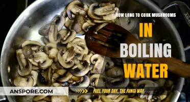 Perfectly Cooked Mushrooms: Boiling Time Tips for Tender Results