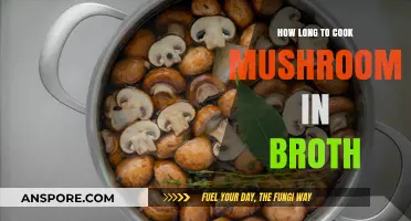 Perfectly Simmered Mushrooms: Mastering Cooking Time in Broth