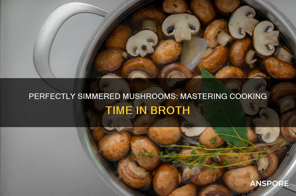 how long to cook mushrooms in broth