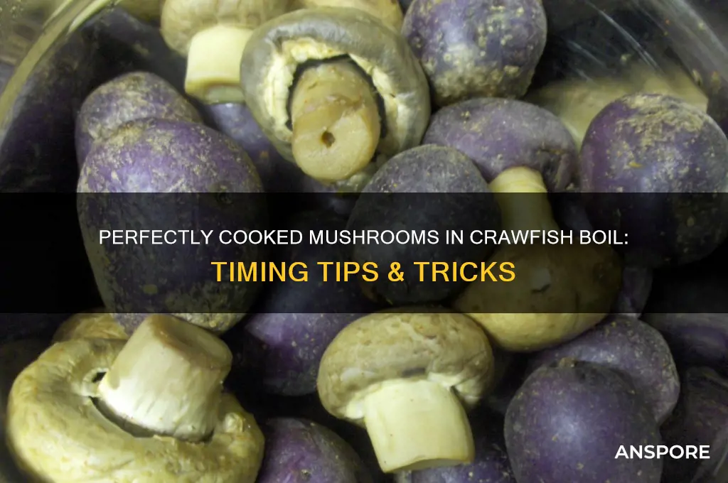 how long to cook mushrooms in crawfish boil