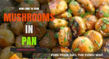 Perfect Pan-Cooked Mushrooms: Timing Tips for Juicy, Golden Results