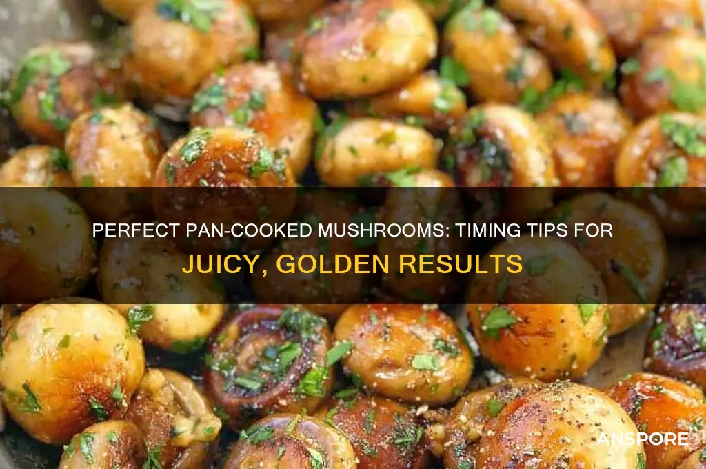 how long to cook mushrooms in pan