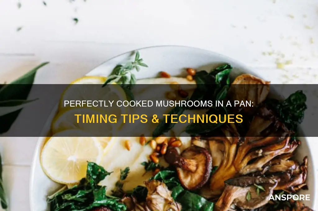 how long to cook mushrooms in pat