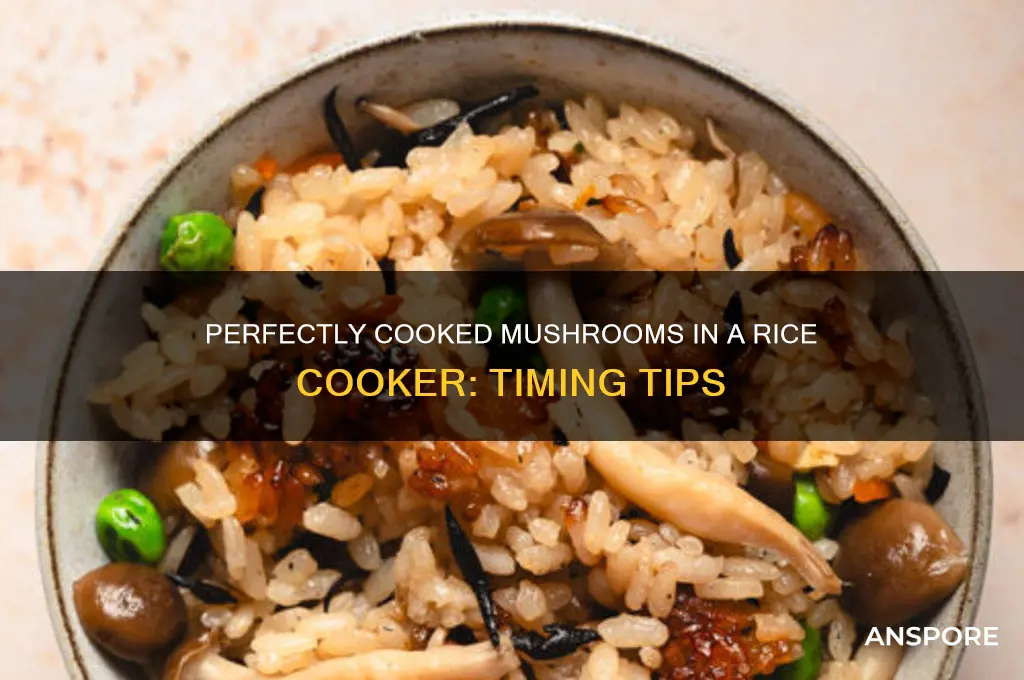 how long to cook mushrooms rice cooker