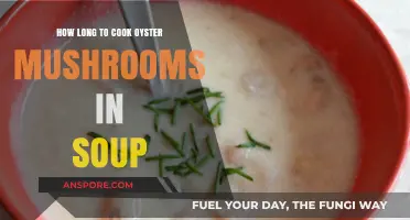 Perfect Oyster Mushroom Soup: Ideal Cooking Time for Tender Results