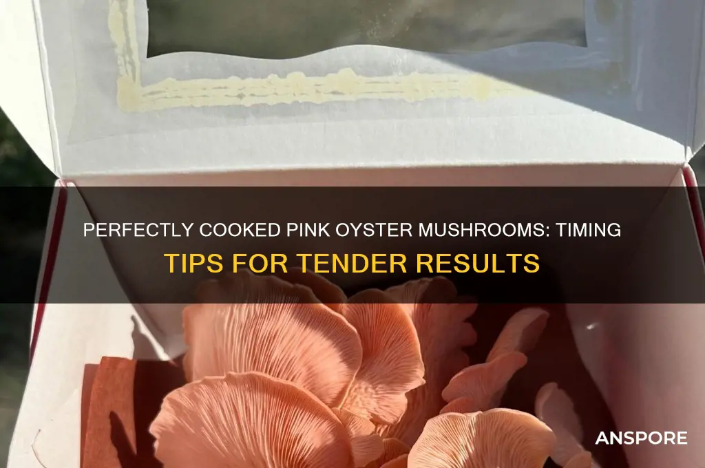 how long to cook pink oyster mushrooms