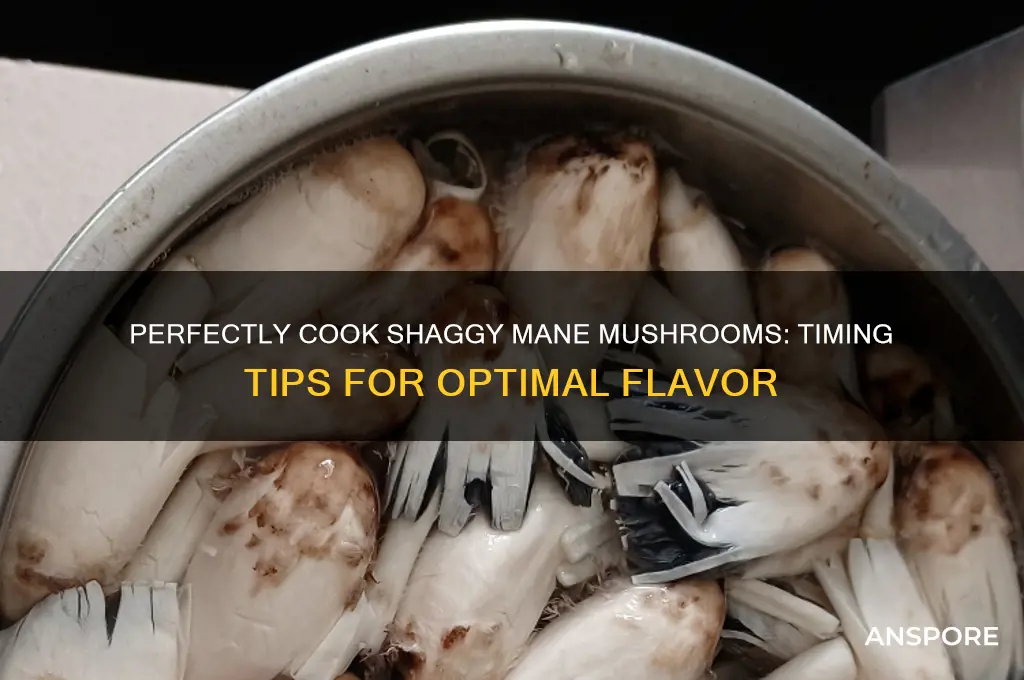 how long to cook shaggy mane mushrooms