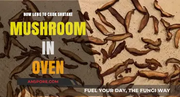 Perfect Oven-Roasted Shiitake Mushrooms: Timing and Tips for Success